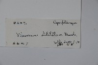 莢迷藏品圖，第2張