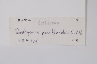 登錄號:S127543藏品圖，第2張