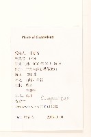 一枝香藏品圖，第2張