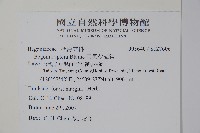 圓果秋海棠藏品圖，第2張