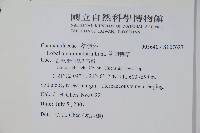 普刺特草藏品圖，第2張