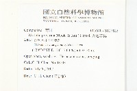 天蓬草舅藏品圖，第2張