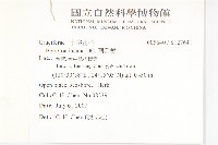 南美獨行菜藏品圖，第2張