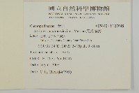 馬氏濱藜藏品圖，第2張