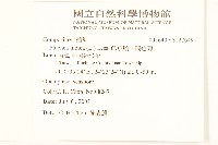 鯽魚膽、闊苞菊藏品圖，第2張