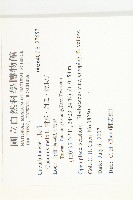 香瓜、甜瓜、黃瓜仔藏品圖，第2張