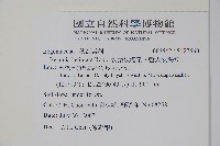 裂葉秋海棠、巒大秋海棠藏品圖，第2張