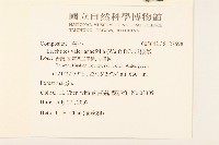 飛機草藏品圖，第2張