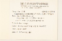 山苦藚、假福王草藏品圖，第2張