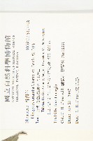 軟毛柿藏品圖，第2張