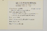 細枝柃木藏品圖，第2張