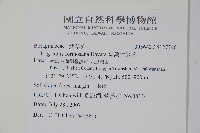 臺灣附地草藏品圖，第2張