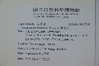 紅子莢迷藏品圖，第2張