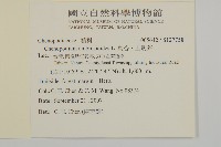 臭杏、土荊芥藏品圖，第2張