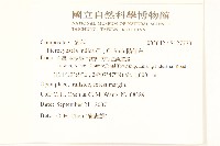 鵝仔草藏品圖，第2張