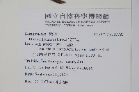 破布烏藏品圖，第2張