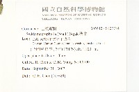 梜木藏品圖，第2張