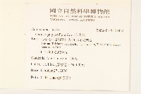 小米菊藏品圖，第2張