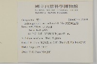 大花咸豐草藏品圖，第2張