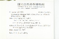 四照花藏品圖，第2張