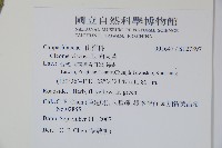 向天黃藏品圖，第2張