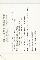 茅瓜藏品圖，第2張