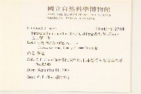 玉山蟹甲草藏品圖，第2張