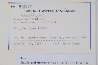 登錄號:S128020藏品圖，第2張