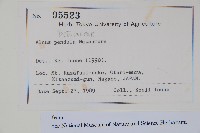 登錄號:S128031藏品圖，第2張