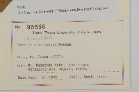 登錄號:S128034藏品圖，第2張