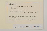 登錄號:S128042藏品圖，第2張