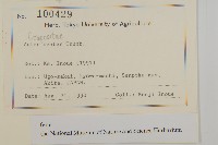 東鳳菜藏品圖，第2張