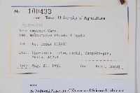 登錄號:S128064藏品圖，第2張