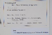 登錄號:S128072藏品圖，第2張