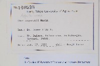 鹿場山冬青藏品圖，第2張