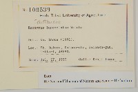 登錄號:S128074藏品圖，第2張