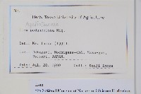 刻脈冬青藏品圖，第2張