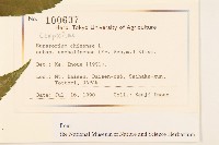 登錄號:S128097藏品圖，第2張