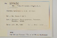 華東山柳藏品圖，第2張