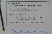 莢迷藏品圖，第2張