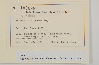 庵蒿藏品圖，第2張