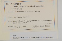 登錄號:S128121藏品圖，第2張