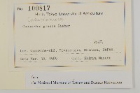 銀木麻黃藏品圖，第2張