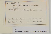 昭和草藏品圖，第2張