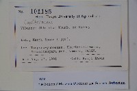 莢迷藏品圖，第2張