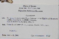 琉球暗羅藏品圖，第2張