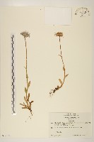 登錄號:S128189藏品圖，第1張