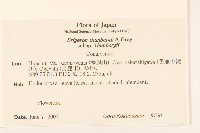 登錄號:S128189藏品圖，第2張