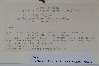 登錄號:S128190藏品圖，第2張