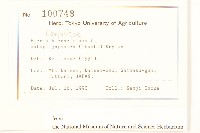 毛蓮菜藏品圖，第2張